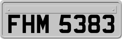 FHM5383
