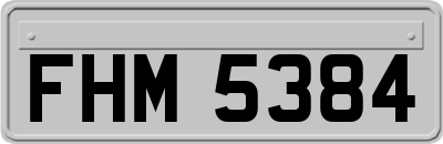 FHM5384