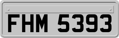 FHM5393