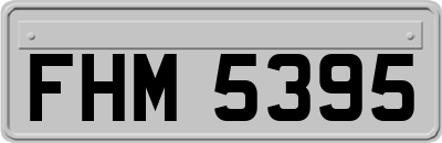 FHM5395
