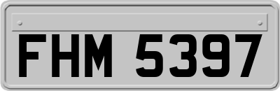 FHM5397