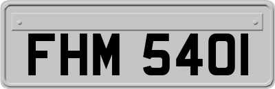 FHM5401