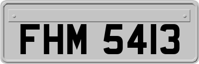 FHM5413