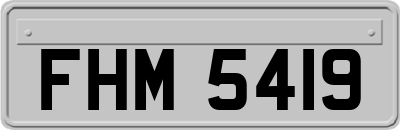 FHM5419