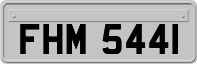 FHM5441
