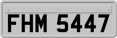 FHM5447