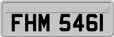 FHM5461