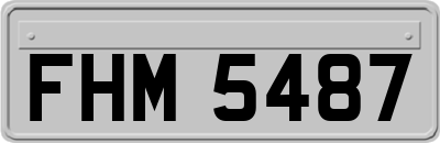 FHM5487