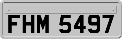 FHM5497