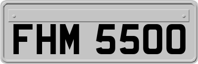 FHM5500