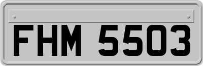 FHM5503