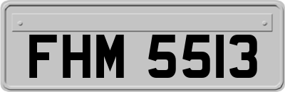 FHM5513