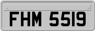 FHM5519