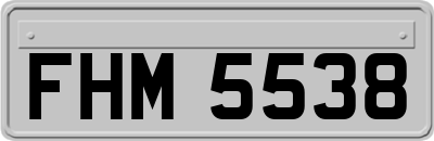 FHM5538
