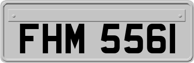 FHM5561