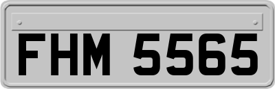 FHM5565