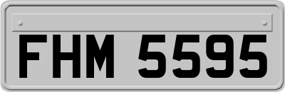 FHM5595
