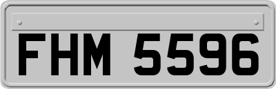 FHM5596