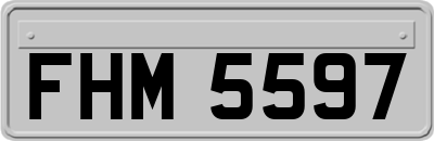 FHM5597