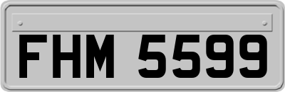 FHM5599