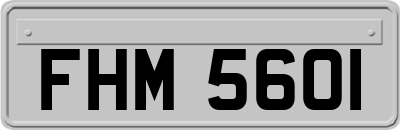 FHM5601