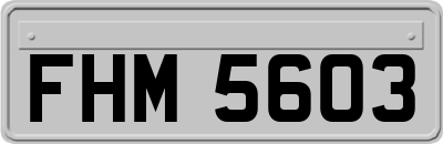 FHM5603