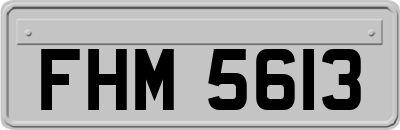 FHM5613