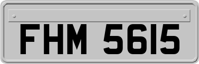 FHM5615