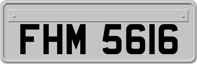 FHM5616