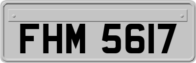 FHM5617