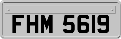 FHM5619