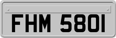 FHM5801