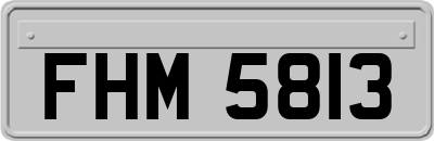 FHM5813