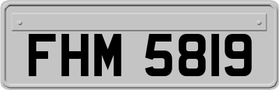 FHM5819