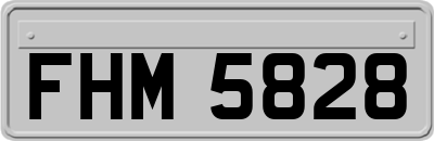 FHM5828