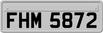 FHM5872