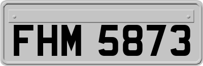 FHM5873