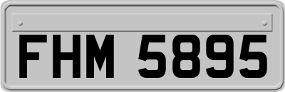 FHM5895