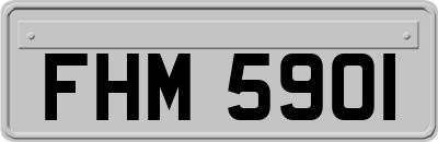 FHM5901