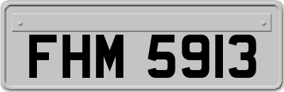 FHM5913