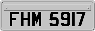 FHM5917