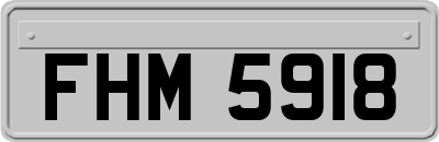 FHM5918