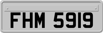 FHM5919
