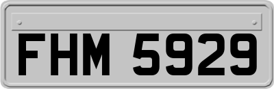 FHM5929
