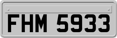FHM5933