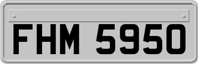 FHM5950