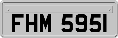 FHM5951