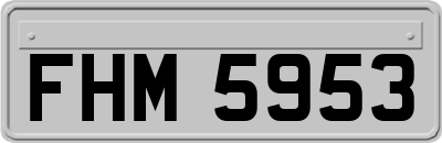 FHM5953