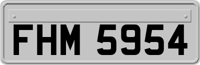 FHM5954