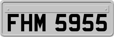 FHM5955